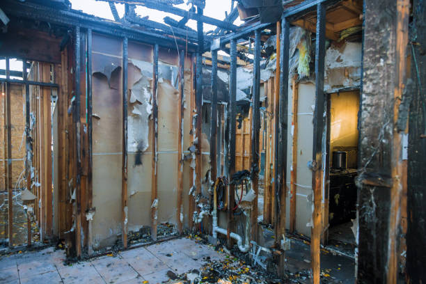 Professional Fire Damage Removal technician working in Crugers, NY